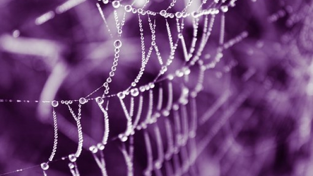 Comment Créer Un Site Web Pour Gagner De L& 39 ?