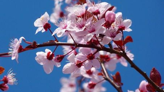 Comment Créer Les Condition Générale D’Un Site ?