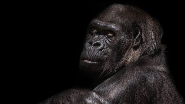 Comment Les Entreprises Peuvent Dominer Les Influenceurs ?