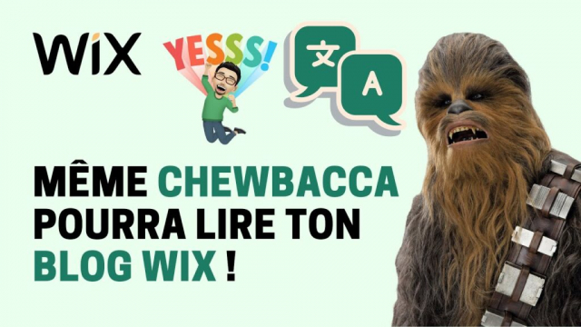 Comment Créer Un Site Wix En Plusieurs Langues ?
